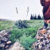 youcef__dz___utm_source=ig_share_sheet&igshid=1oncu76o1lz23___.webp