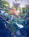 youcef__dz___utm_source=ig_share_sheet&igshid=sdh2hzzc7dxt___.webp