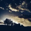 youcef__dz___utm_source=ig_share_sheet&igshid=6xyo1d5w0lbw___.webp