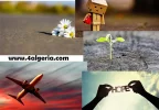 KH12345.webp