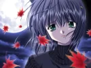 61896410.webp