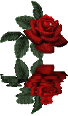 rose1zj.gif