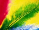 y1y1.com-tas (112).webp
