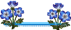 barra azul com flores.gif