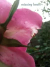 1539953829569.webp