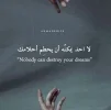 2445-4.webp