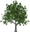 تنزيل (4).webp