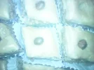 IMG_20181115_173519.webp