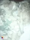 IMG_20181119_171743.webp