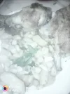IMG_20181119_171729.webp