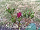 IMG_0317.webp