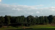 1549304419661.webp