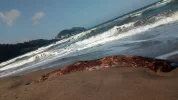 IMG_20190417_165119.webp