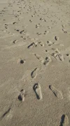 IMG_20190417_170803.webp