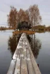 F3D9527F-C52C-42A4-B95A-1F18EEC6DC5D.jpeg