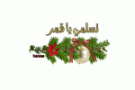 3dlat.net_02_17_9996_a907f01805901.gif
