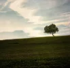 Background_stock_2_by_AJK_Original_Stock.webp