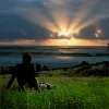 022.webp
