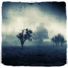 dc05224e633a13caebdbceb2bfbed0aa_lm.webp