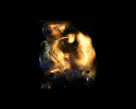 5 (21).webp