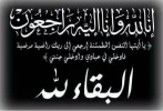 55589669.webp