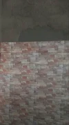 20190420_113241-1-1.webp