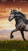 659E0BAF-AE41-4E06-85B8-B240142F70C8.webp