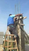 FB_IMG_1570832407123.webp