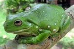 images (11).webp