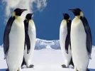 1574027220346.webp