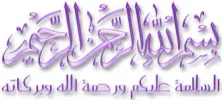 images (54).webp