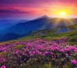 240533_wallpaper.jpg