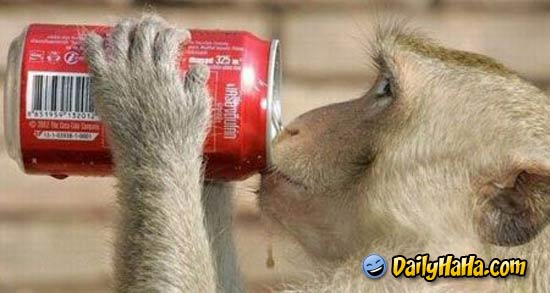 monkey_coke.jpg