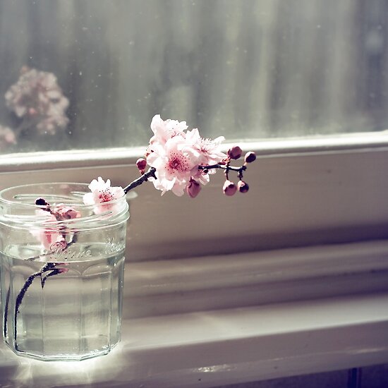 work.1743569.3.flat,550x550,075,f.windowsill-first-sign-of-spring.jpg