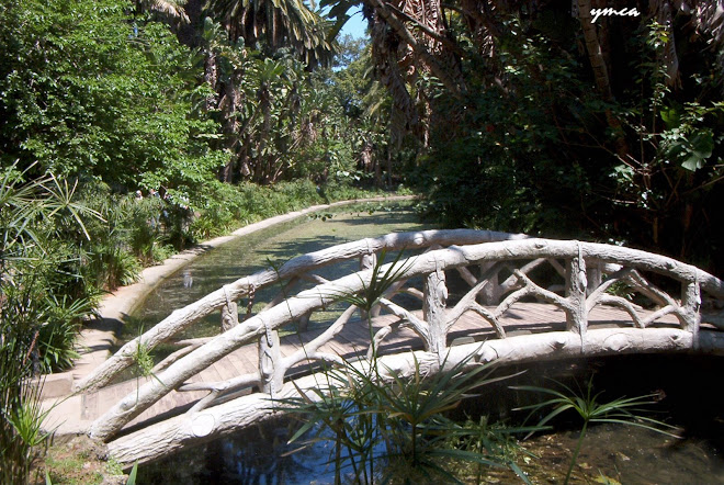 Pont%20au%20jardin%20d%27essai.jpg