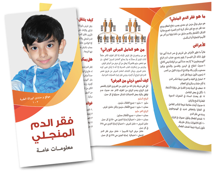 SC_2012%20brochure_%20web.png