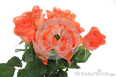 rel%C3%A2che-l-eau-de-roses-orange-10043148.jpg