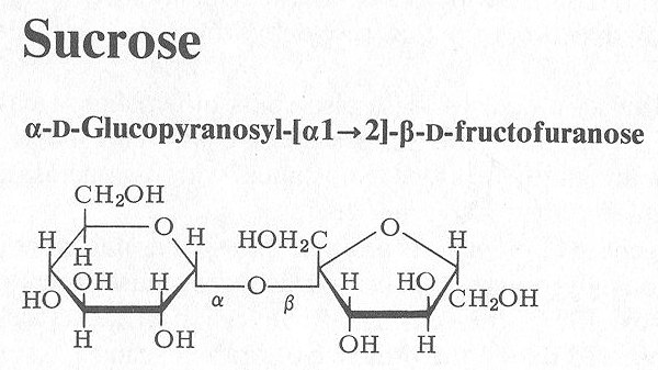 sucrose2.jpg