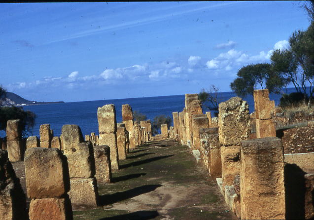 Tipaza.ruines_romaines.jpg