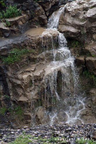 guelma_2007_0568.jpg