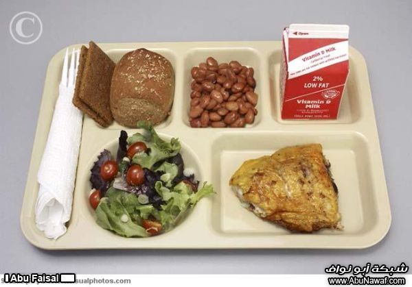 sch_meal%20%2811%29.jpg