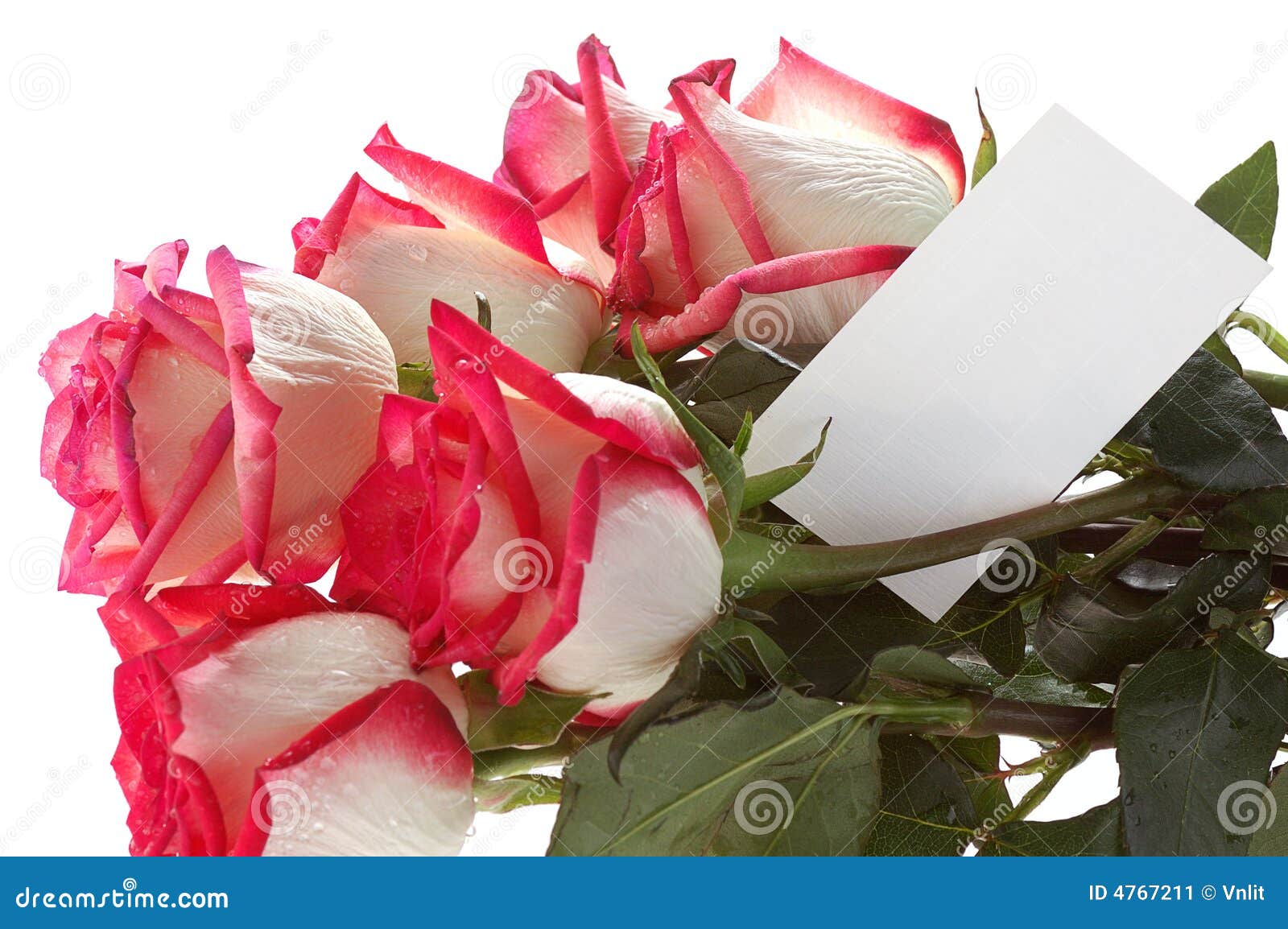 bouquet-de-roses-avec-la-carte-4767211.jpg