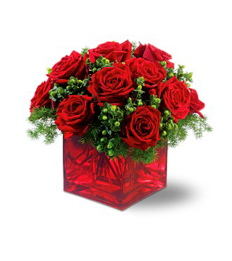 merry-roses-251210.jpg