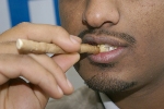 Miswak77.jpg