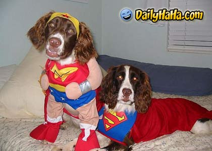 superdogs.jpg