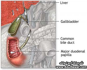 Gallbladercholecystitis.jpg