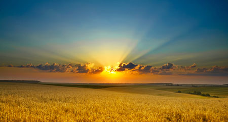 sunrise-f.jpg