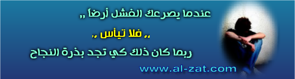 alzat-web.png