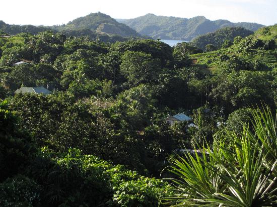 palau-mountains-and-sea.jpg