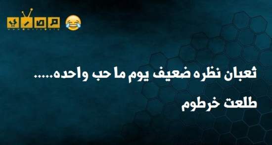 %D9%86%D9%83%D8%AA-%D9%85%D8%B5%D8%B1%D9%8A%D8%A9-%D9%85%D8%B6%D8%AD%D9%83%D8%A9-13.jpg